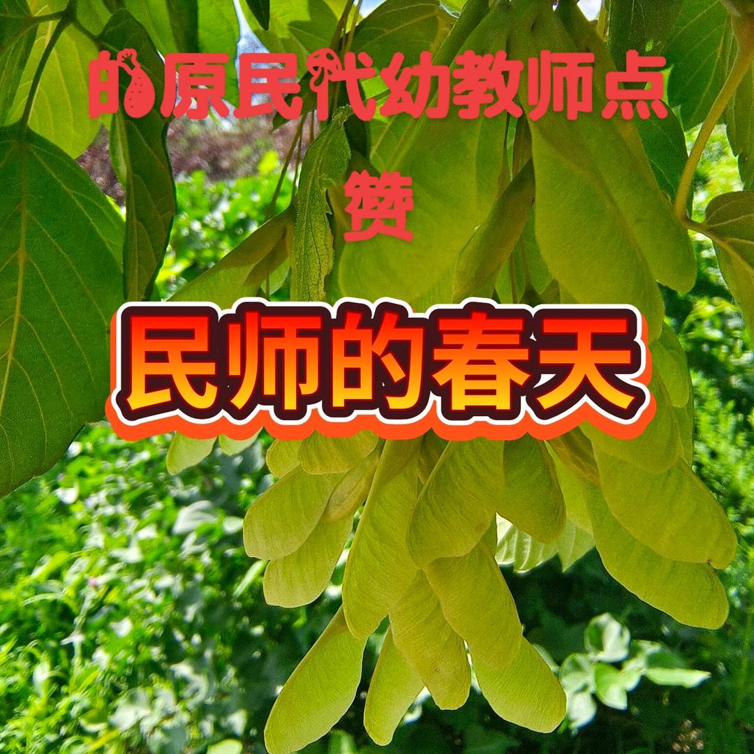 吾心向阳