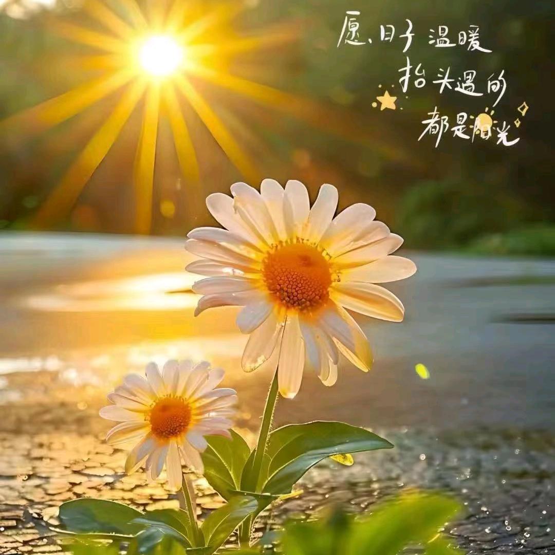 妈咪宝贝