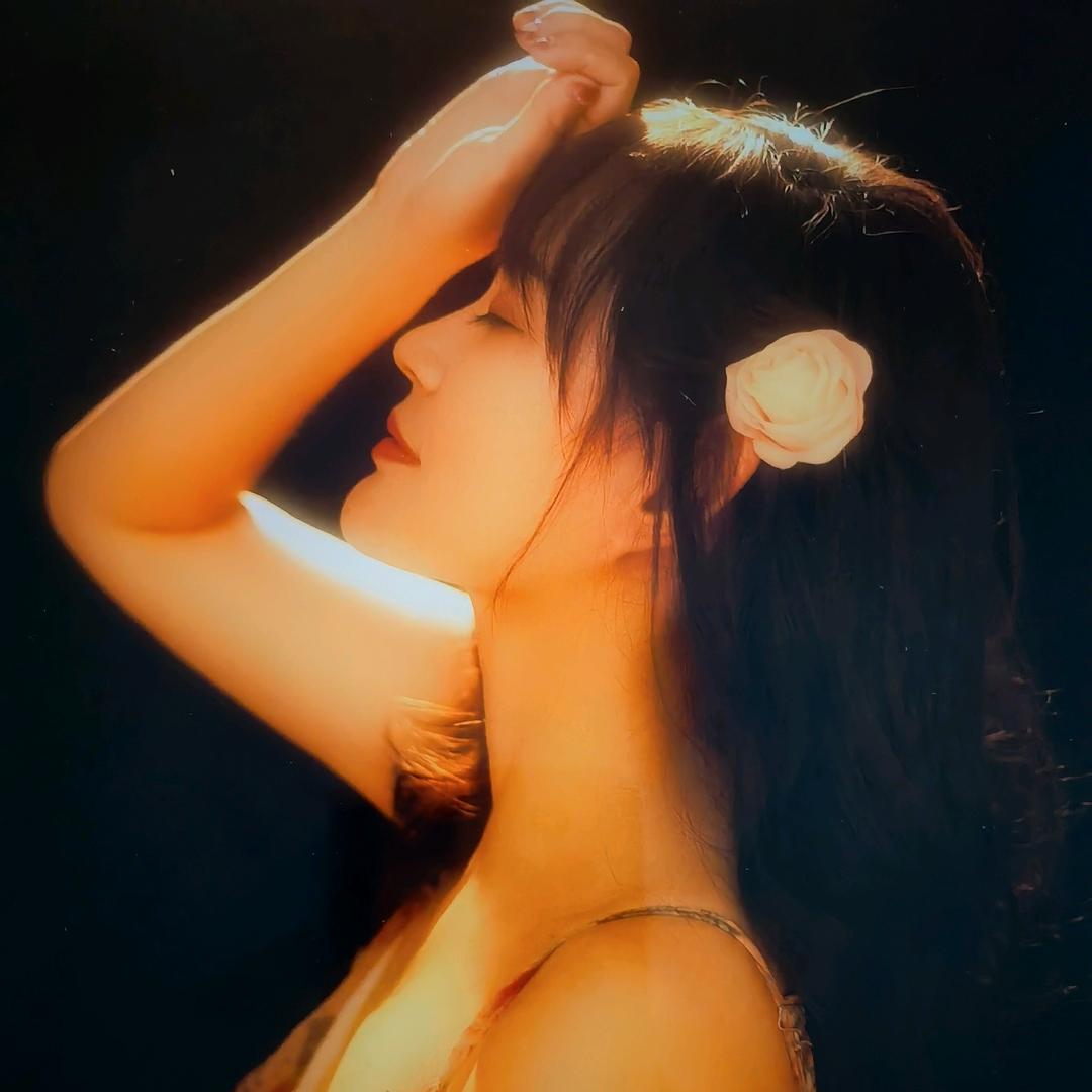 福猪猪(ˇ◕🐽◕ˇ)