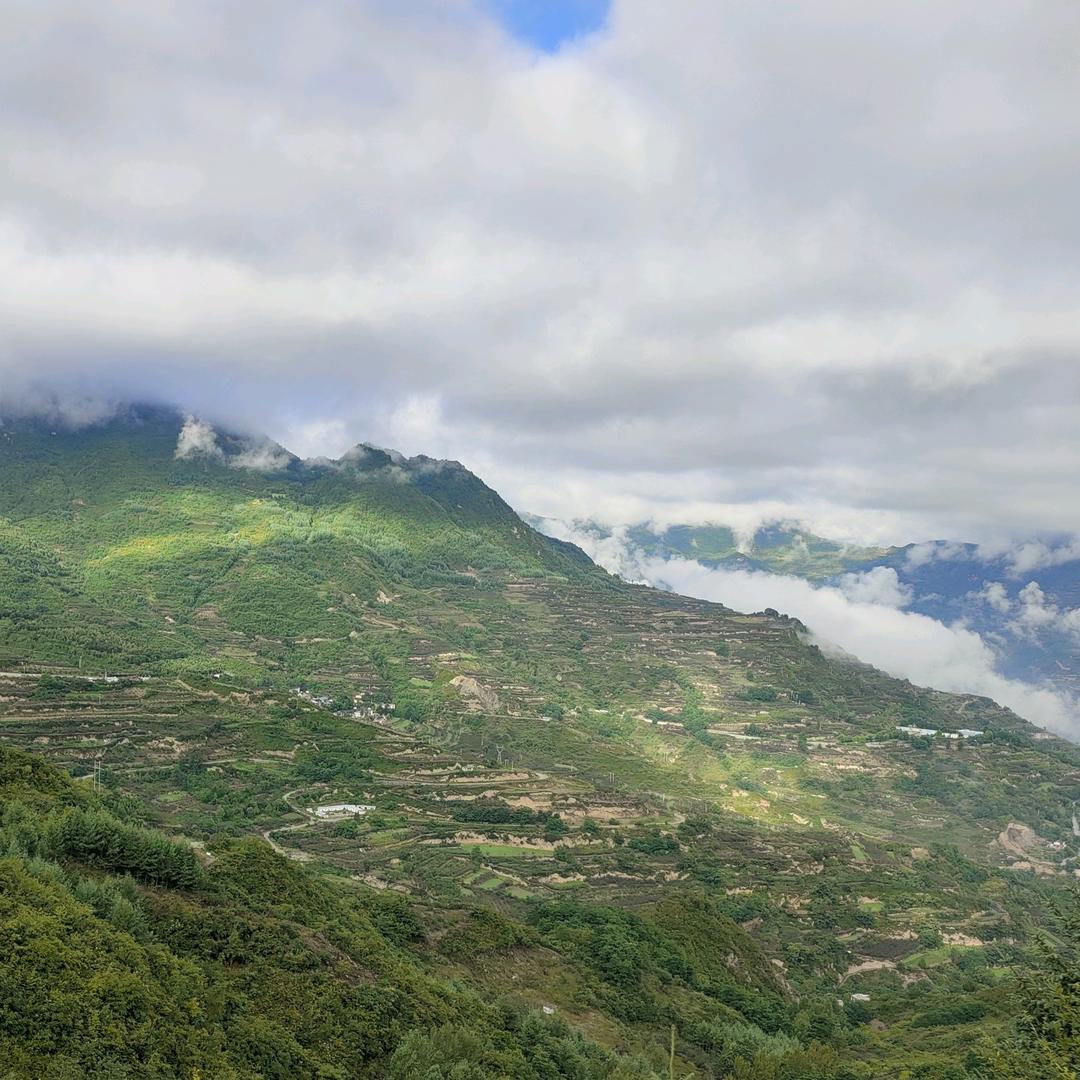 青山绿水