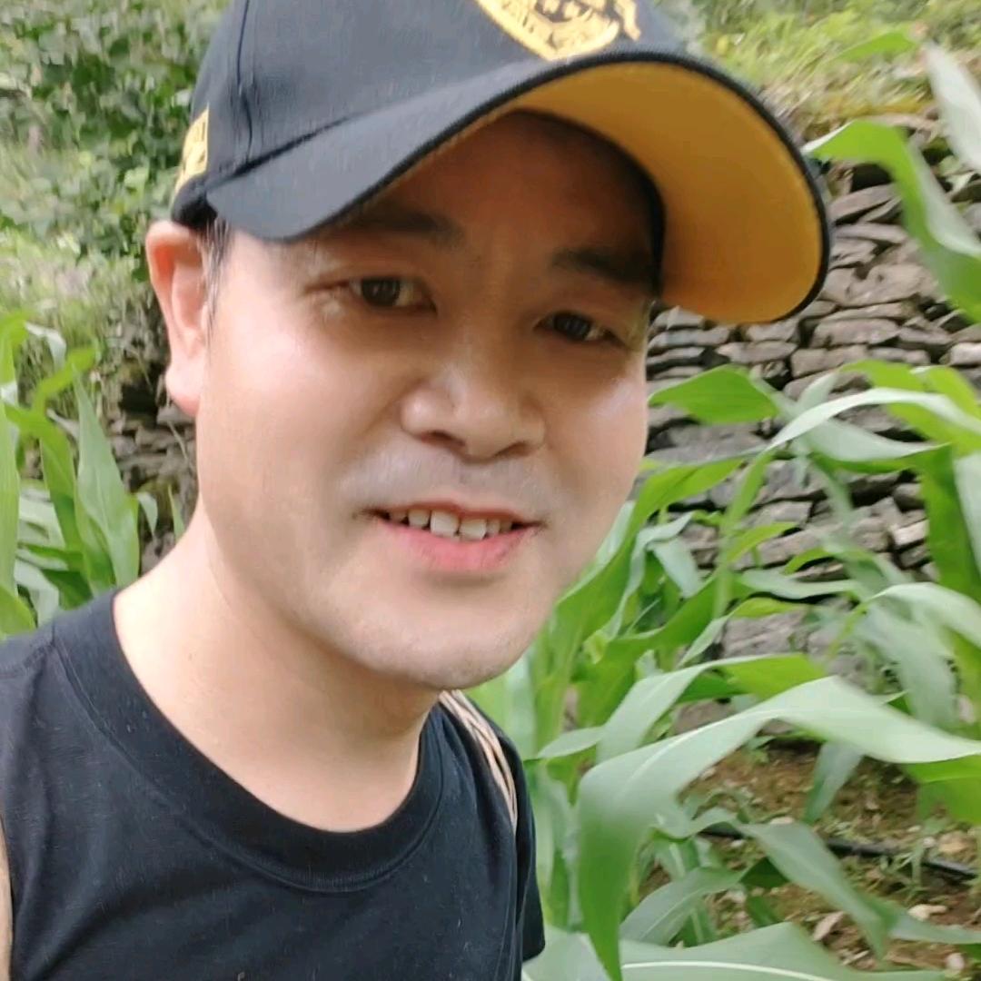 宝宝老师（舞蹈风景听歌）