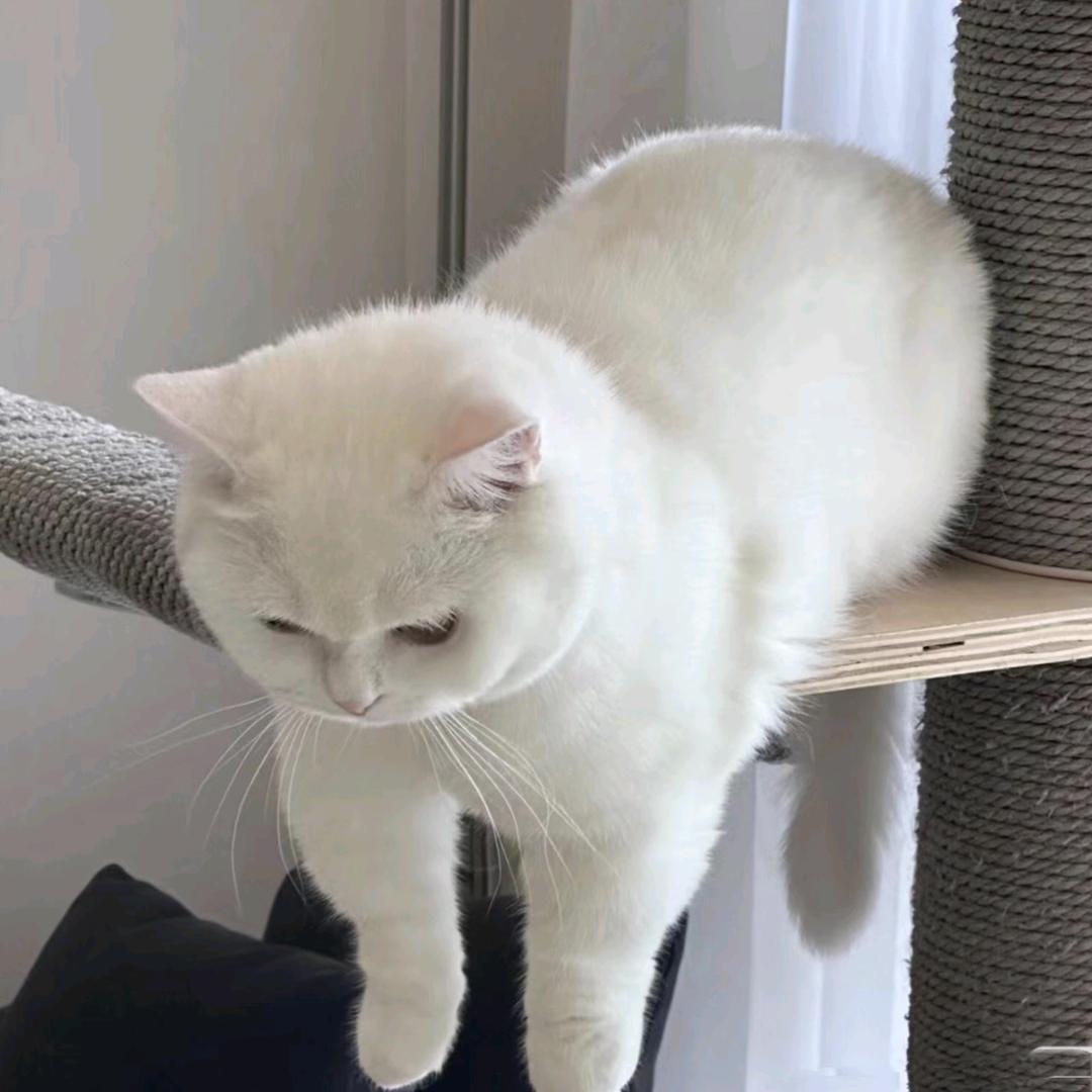 🌈🌻🍊🍉🍇🍓🍒🍑🍅🍊