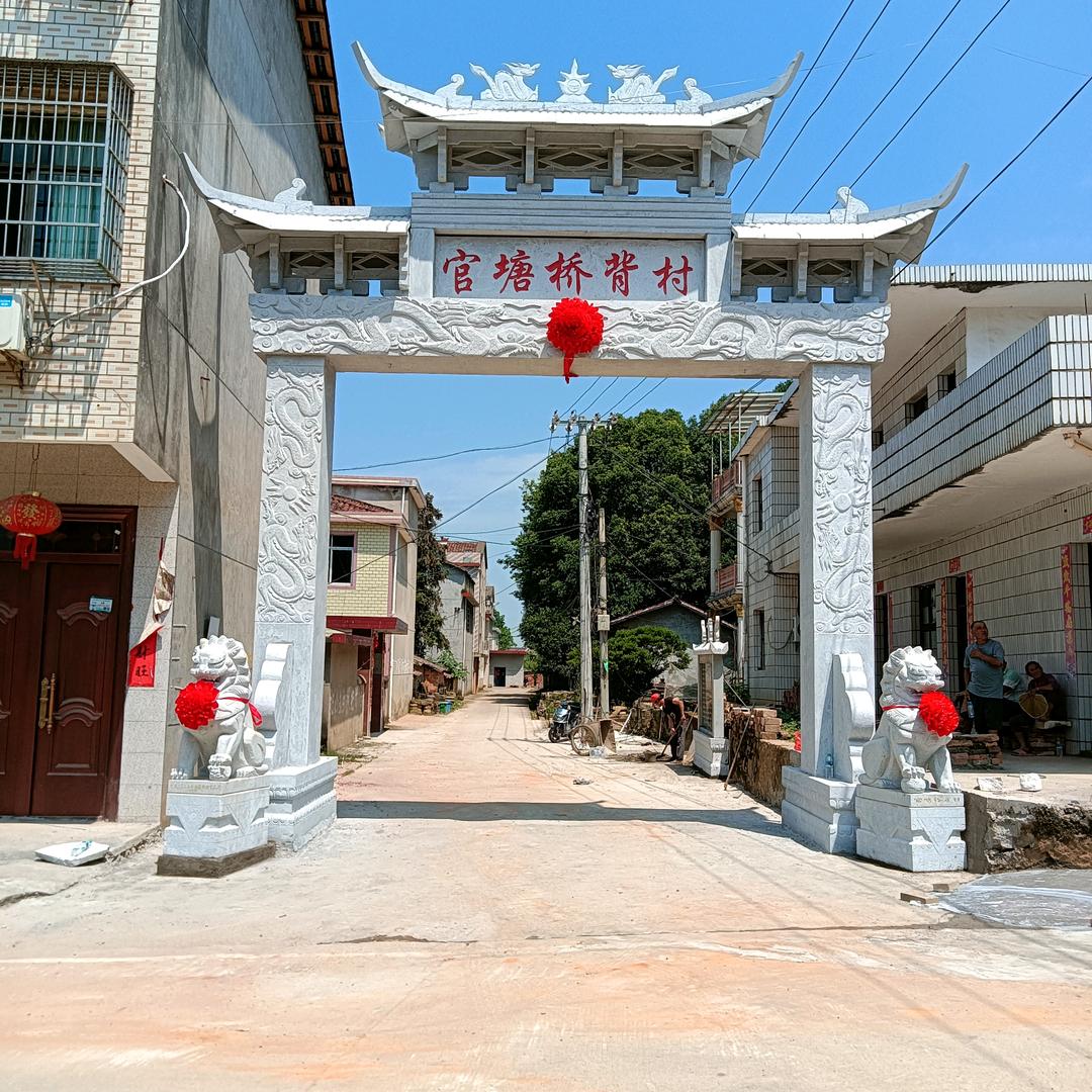 昙花一现88