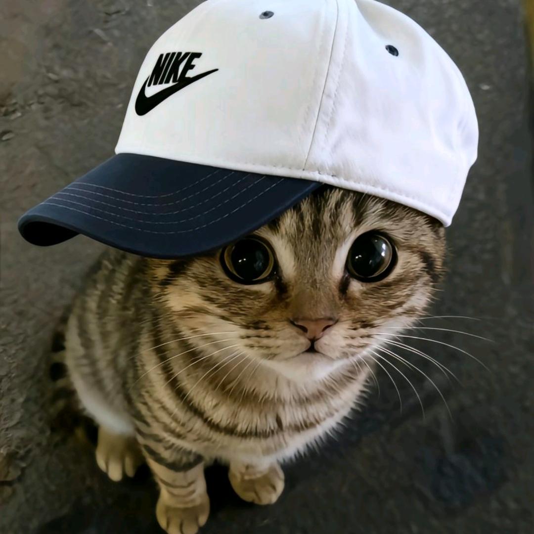 百变嘻嘻