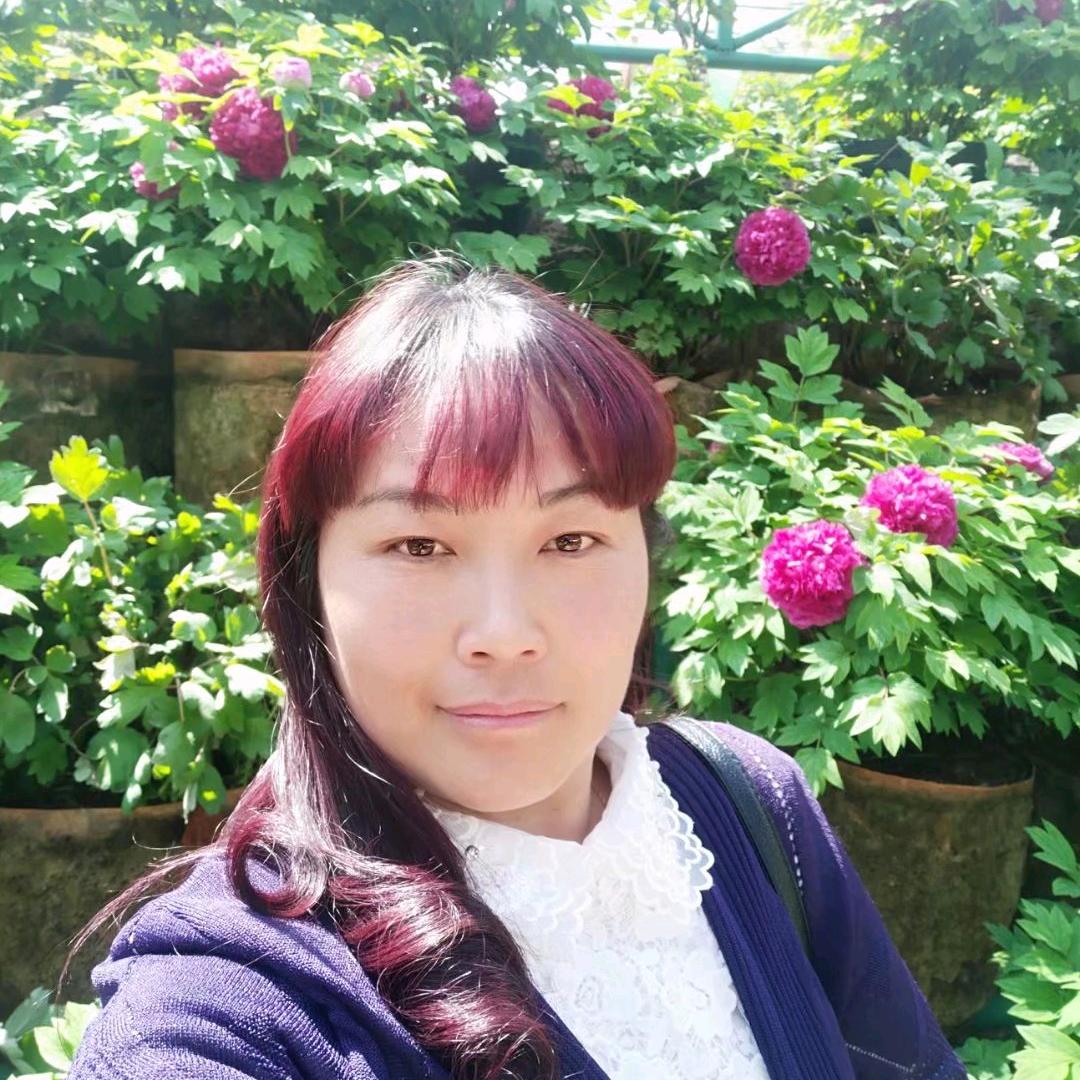 草原月亮