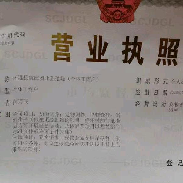 已重置