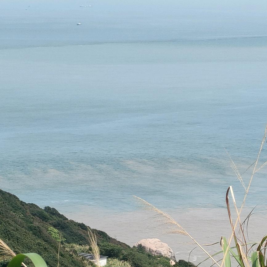 衢州鸭头（独山嘉园店）