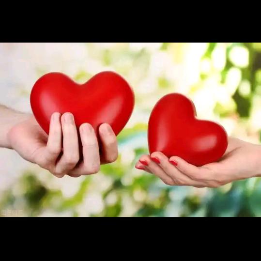 🌈🌈🌈寻找失落的❤️❤️❤️