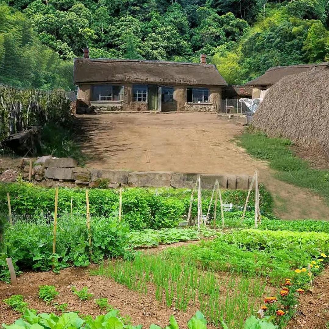 香草台 育儿（爱田园）