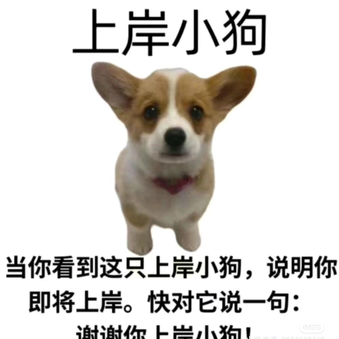 皮蛋瘦肉粥