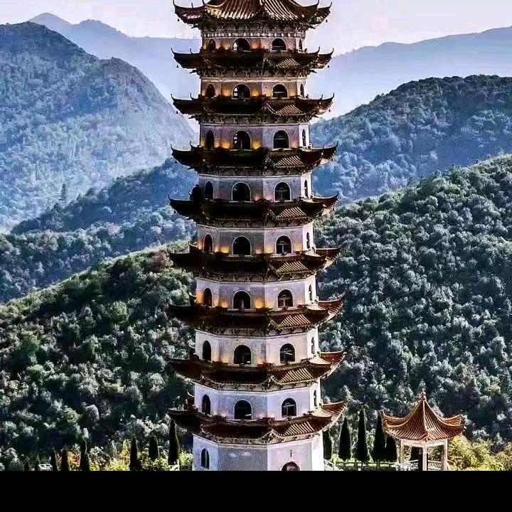 我只爱你