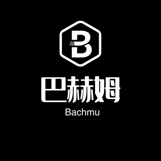 （河北邯郸若羽科技有限公司）