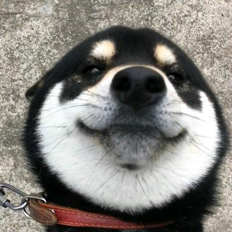 嗨皮