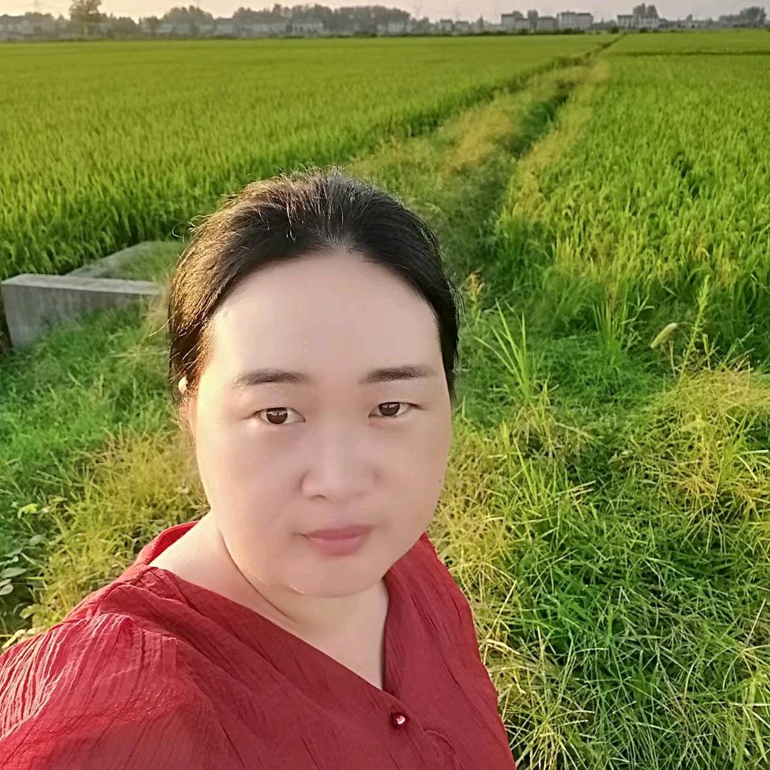 子俊妈  下午2.50