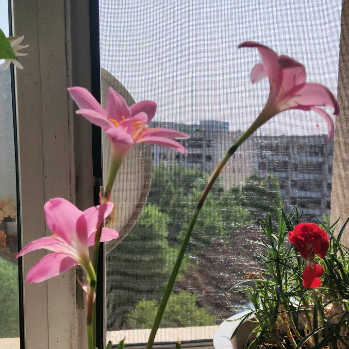 好运天天有！