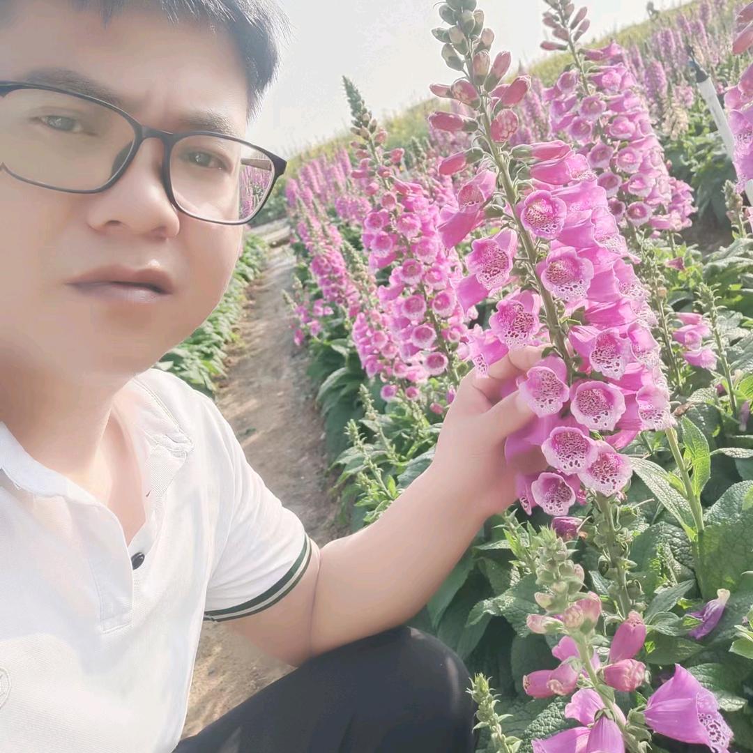 放飞自我