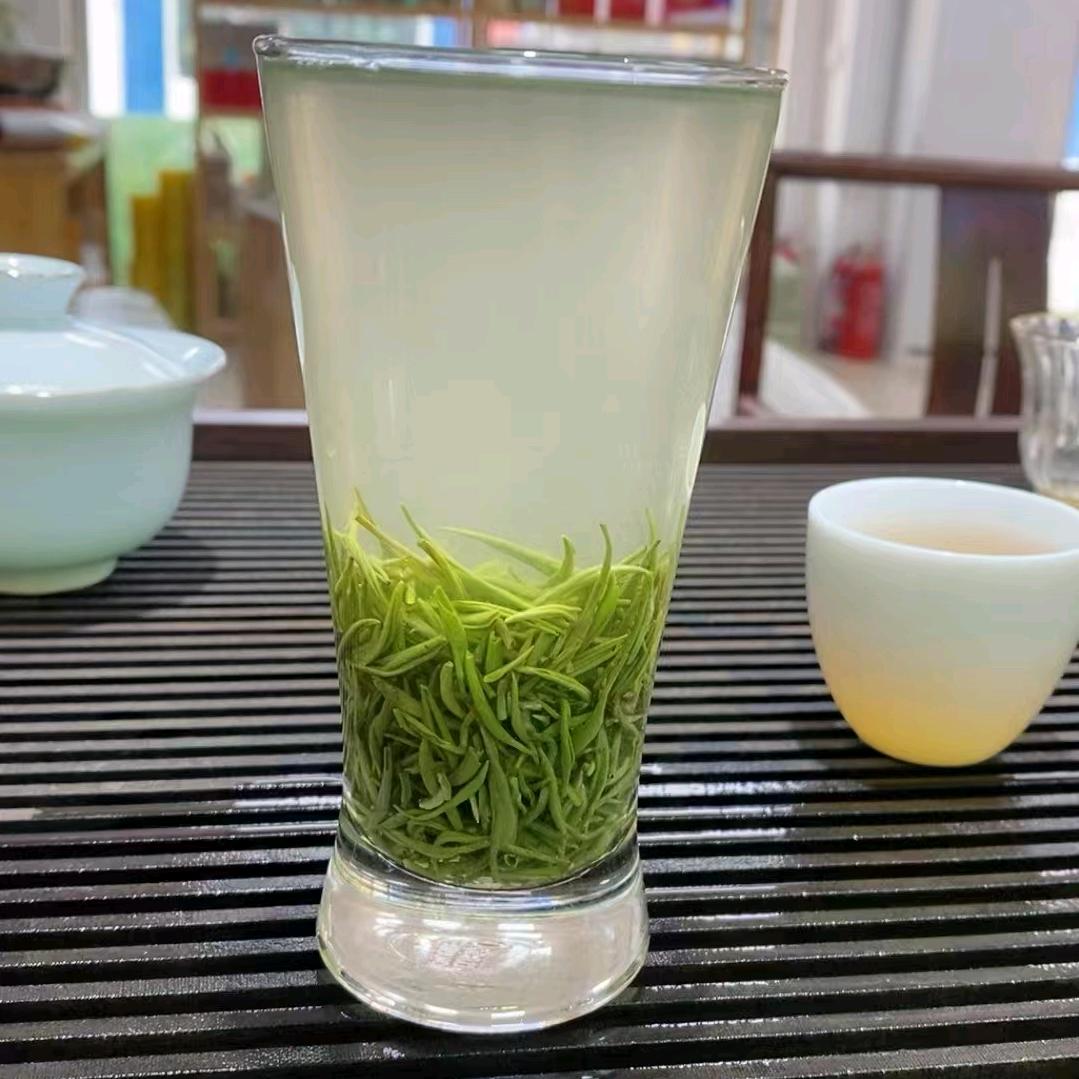 茶小哥茶业信阳毛尖