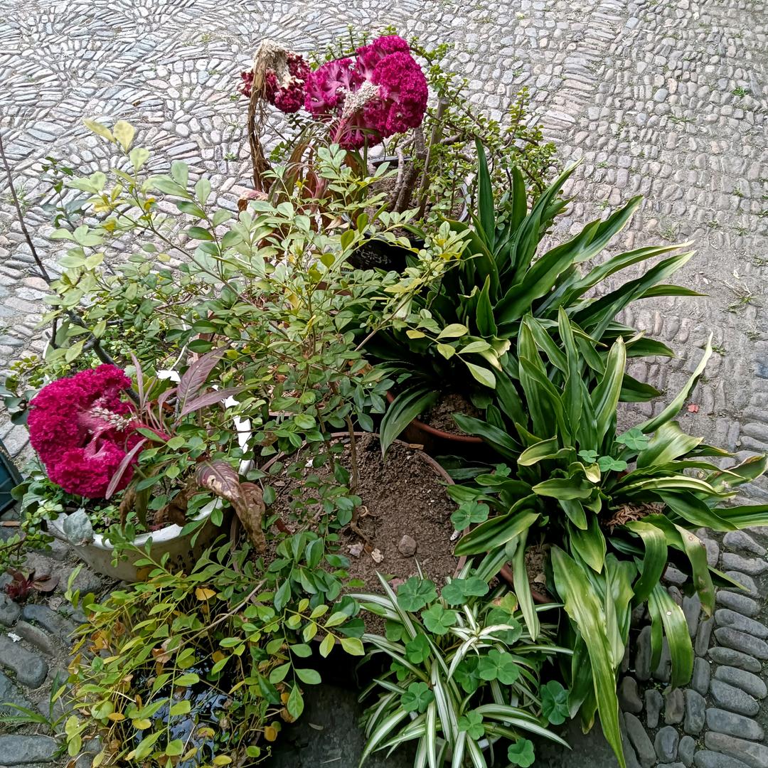 我是全世界最受欢迎的人