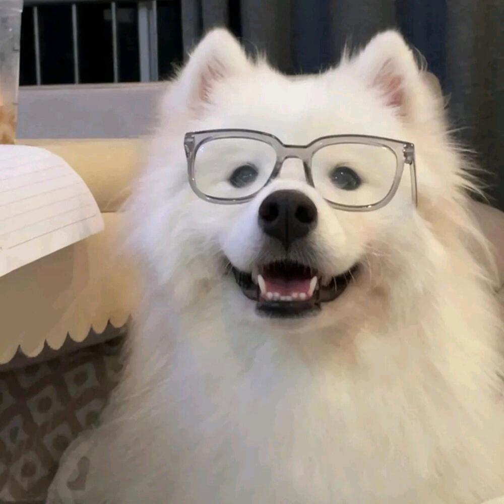 嗜好