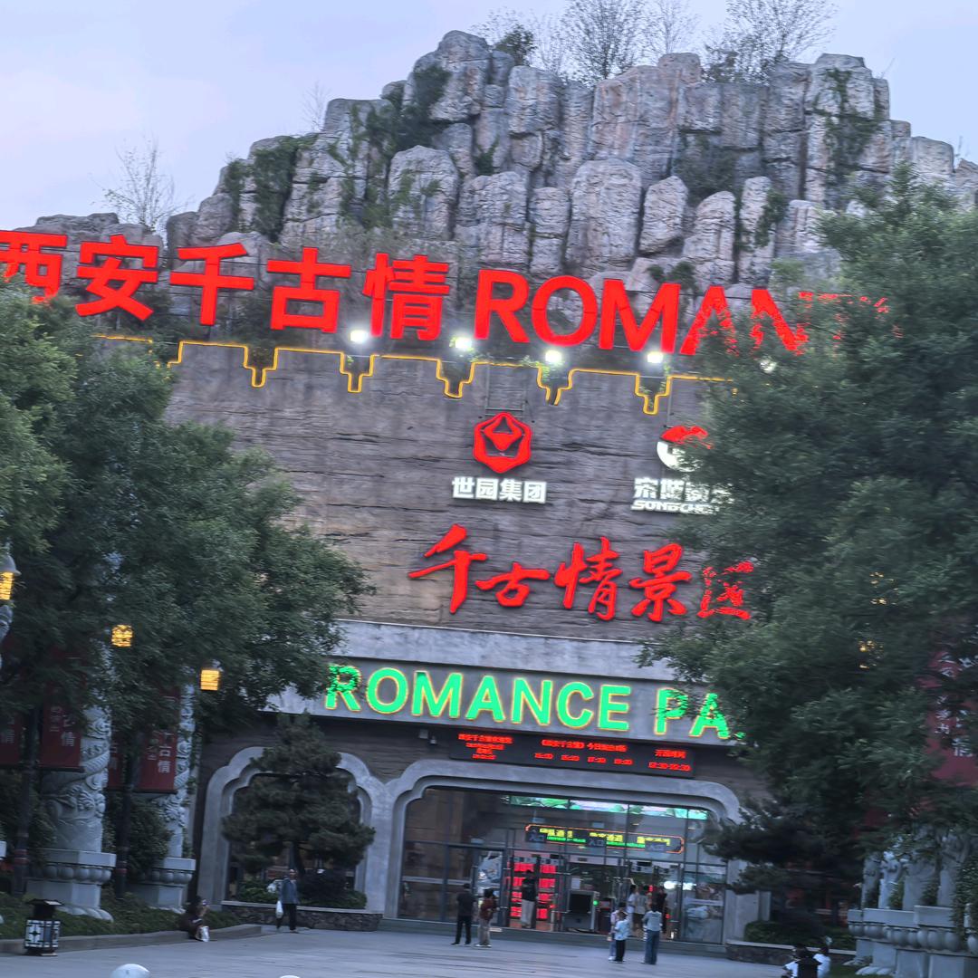 太阳花🌹🌹属于坚强的它🍎🍎