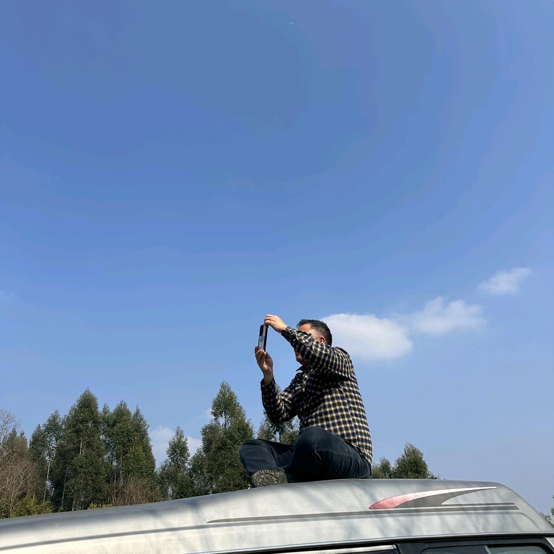 晨光生态