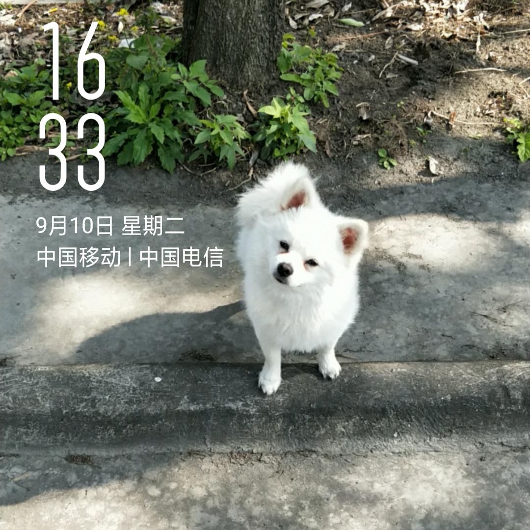 牛哥