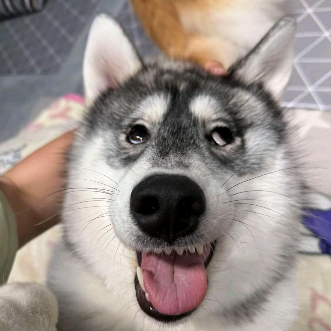 一颗橘子蛋🍊⁰⁵¹¹²⁹