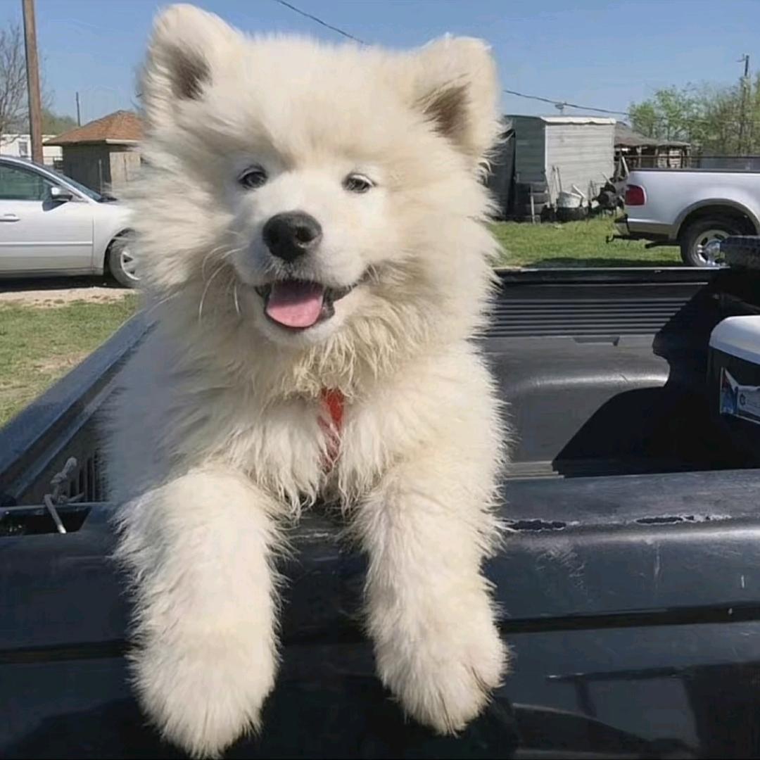 听歌在风中演奏