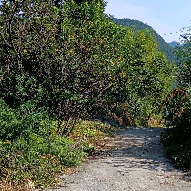 缘来是我
