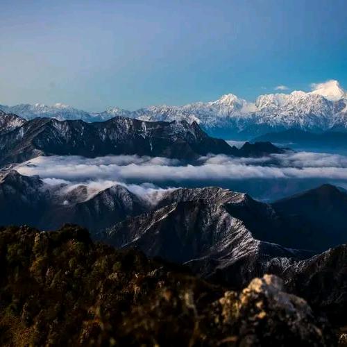 浮夸无真相，猴子当霸王