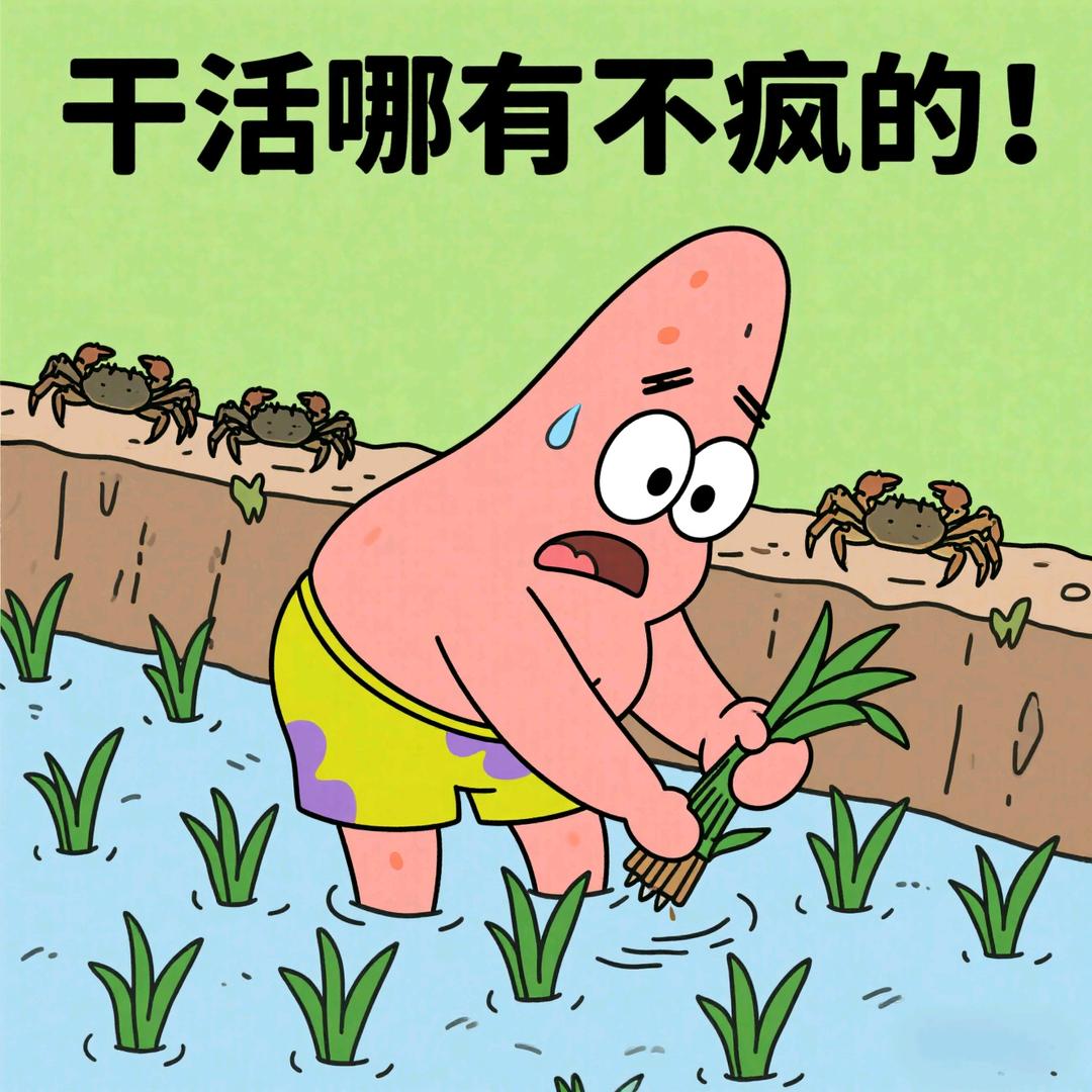 派派派派大猩