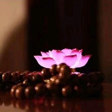 流年、素写一世繁华