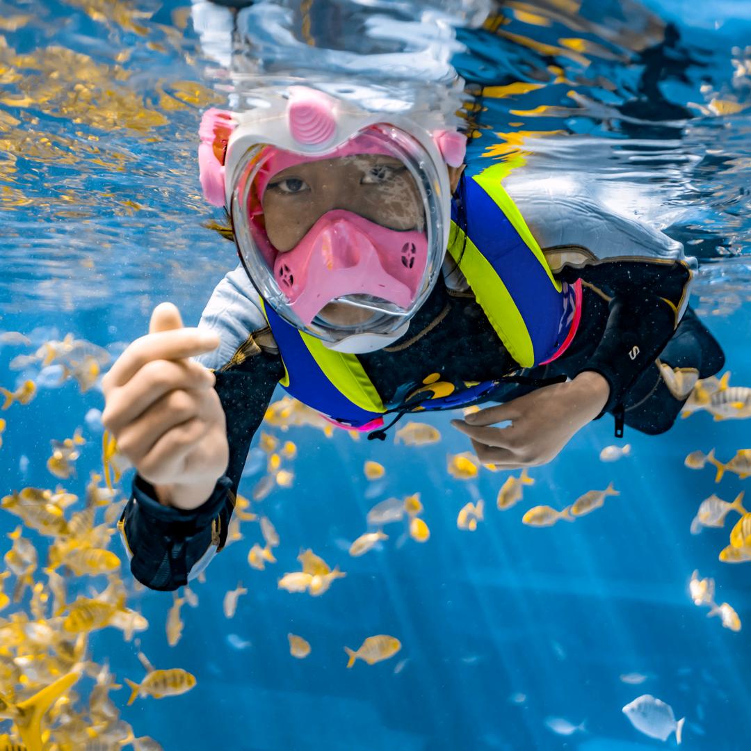 三亚豪生小梦团队潜水