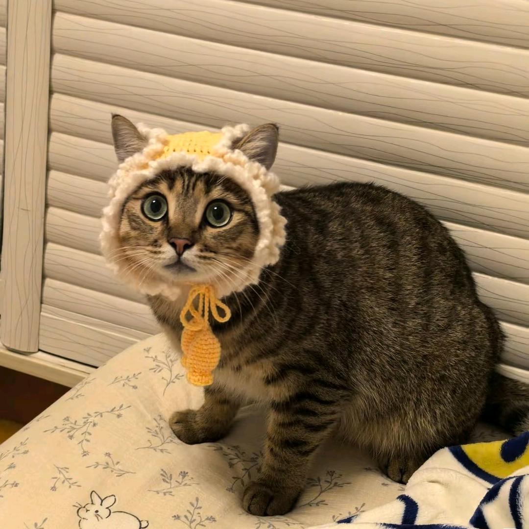 咕噜咕噜咕咕咕噜