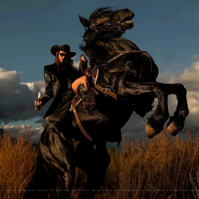 大漠马术俱乐部