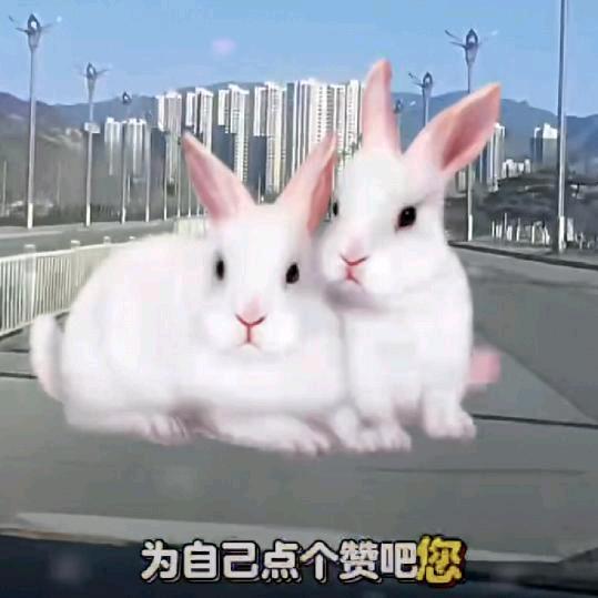 开心李哥
