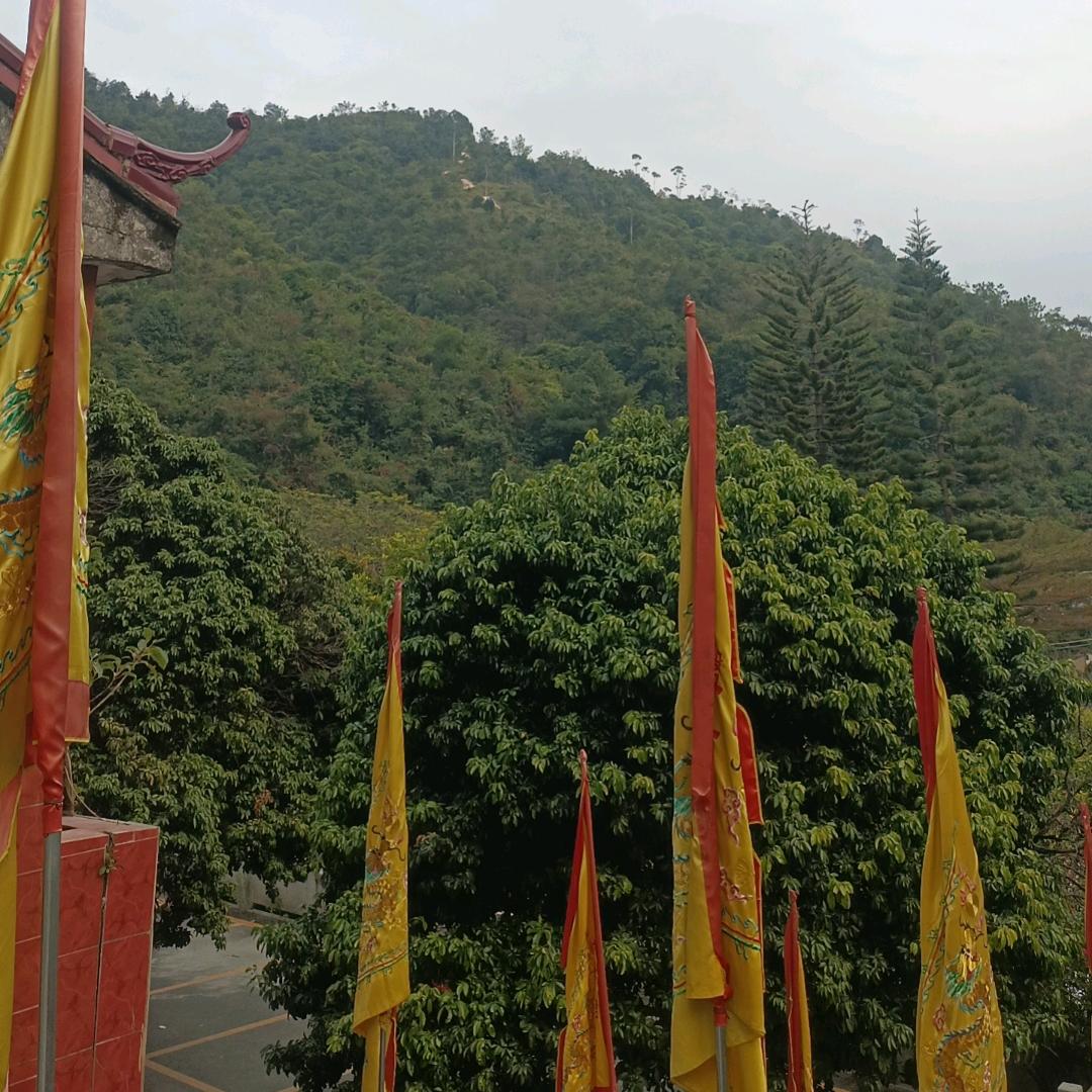 缘来缘去缘尽头