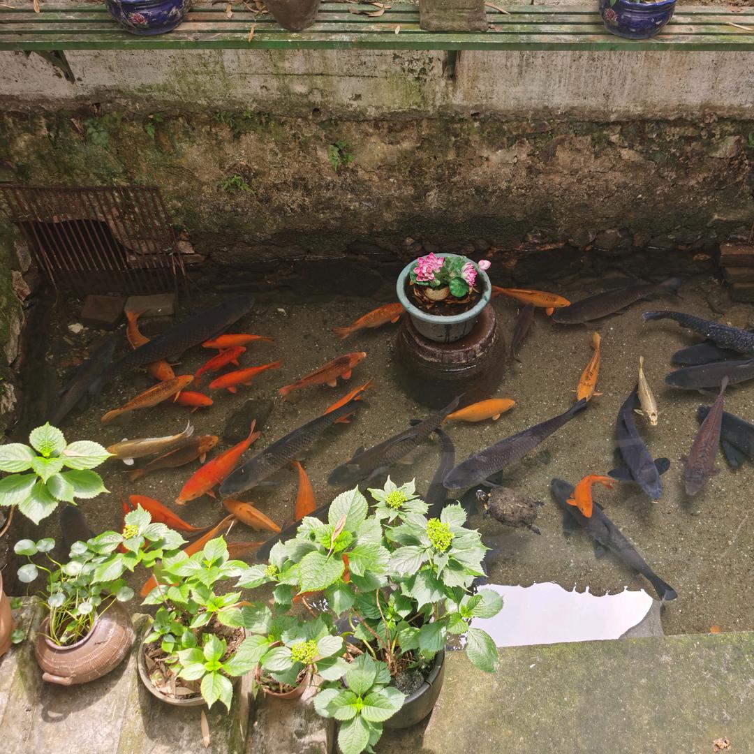 和泰春秋