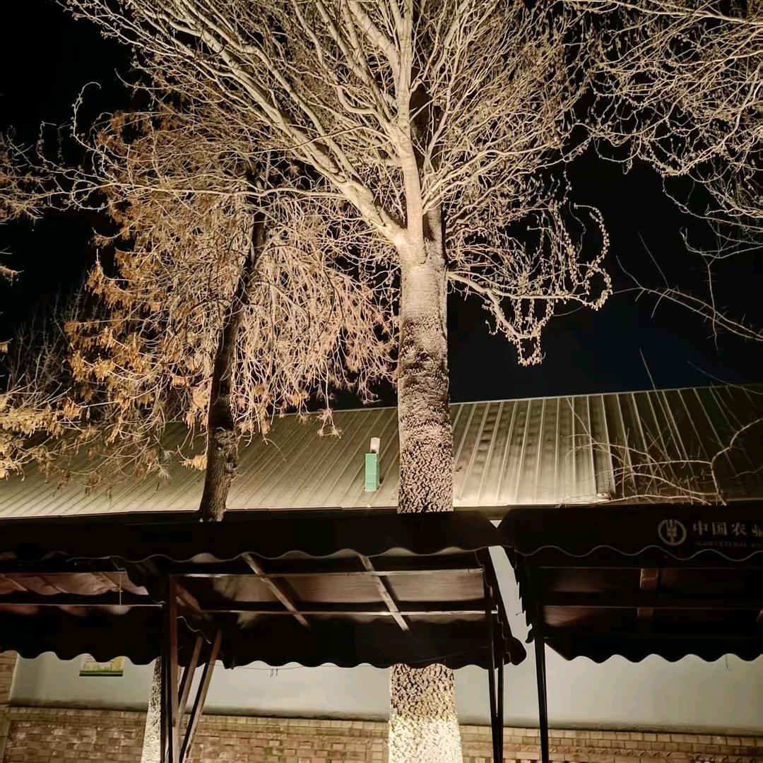 🌚🌚头像
