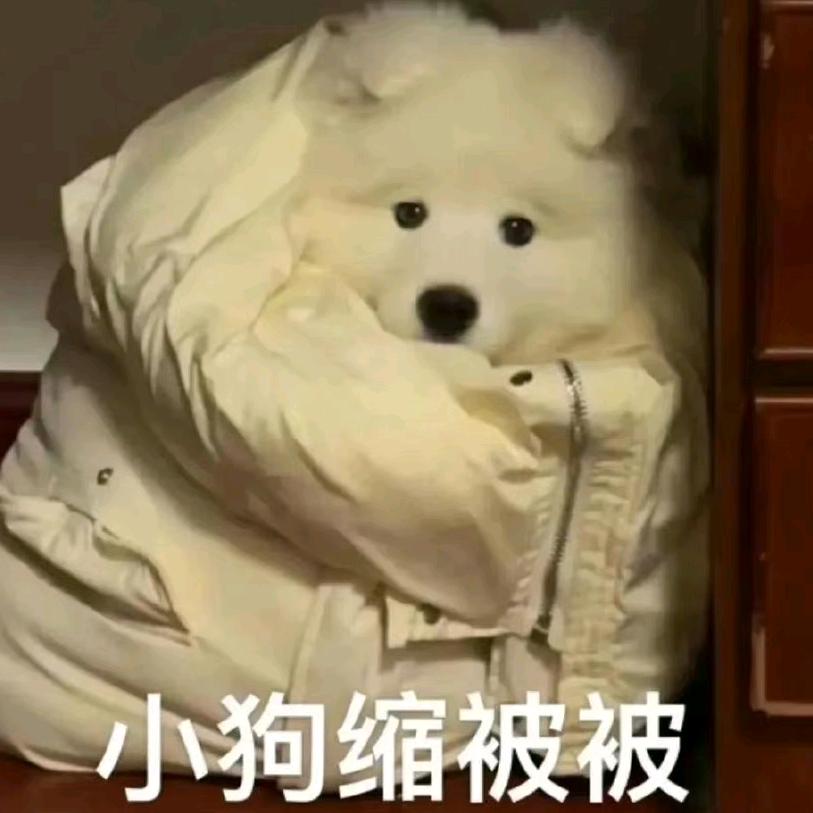 在海边一个人
