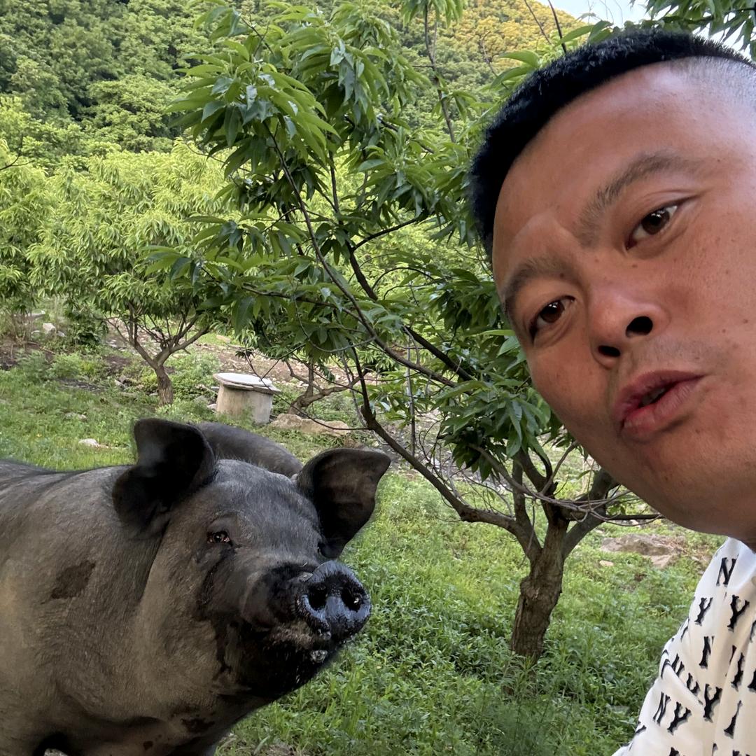 丹东明哥的黑猪肉