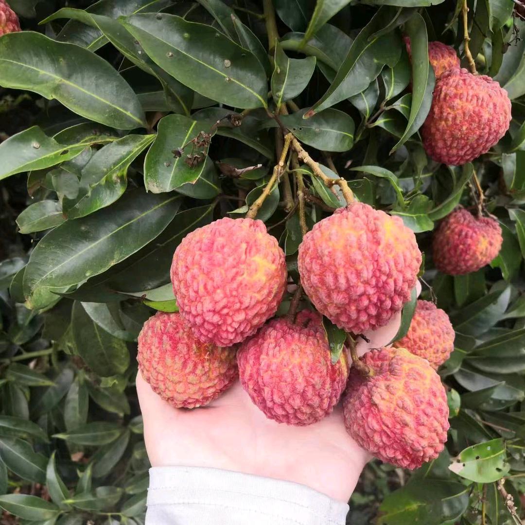 🥀᪲删除ꦿᩚ过往♡꧔ꦿᮨ໌꯭້🌸