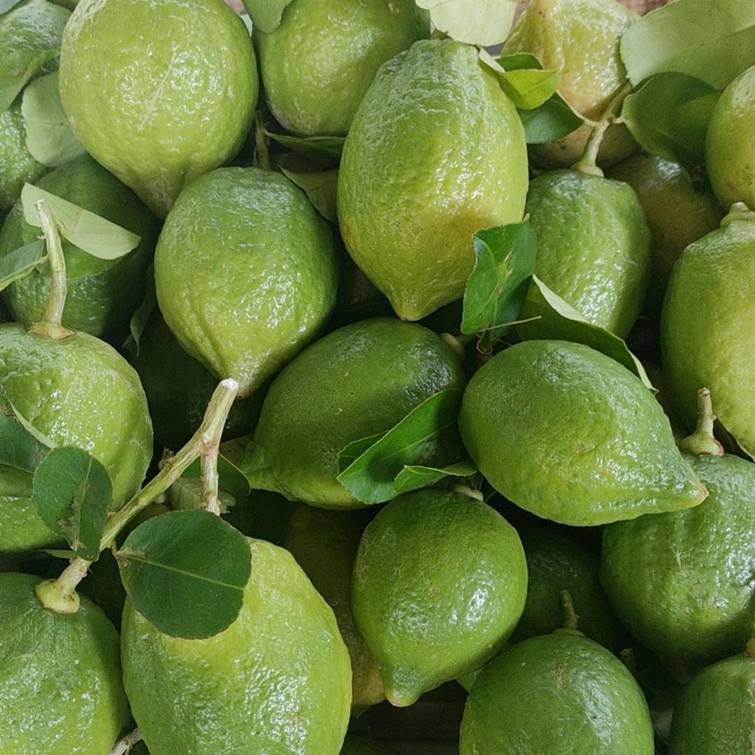 增城惠如生态农庄