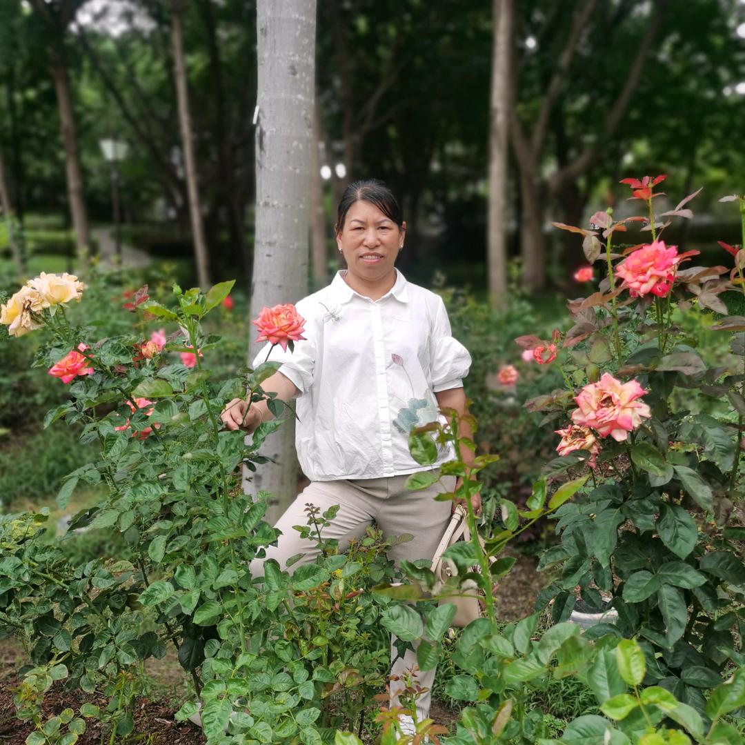景芳姐