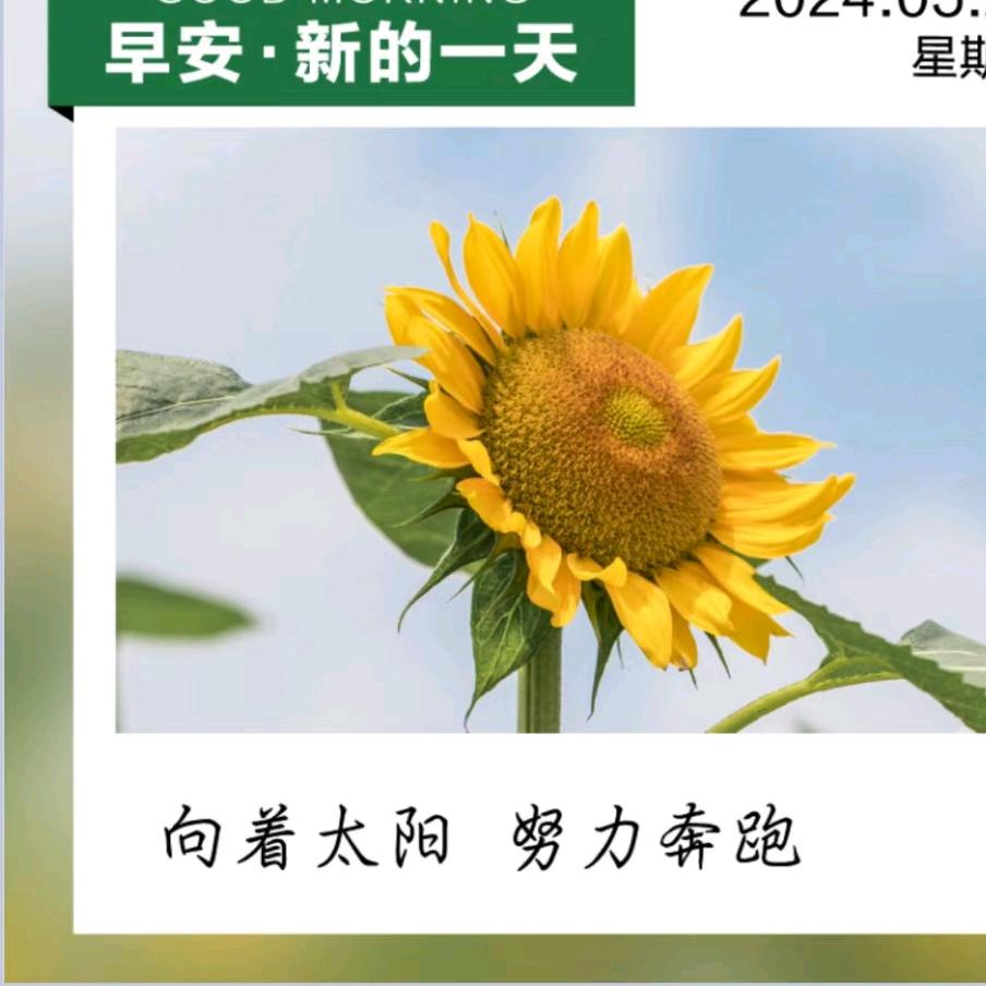 恩典花卉