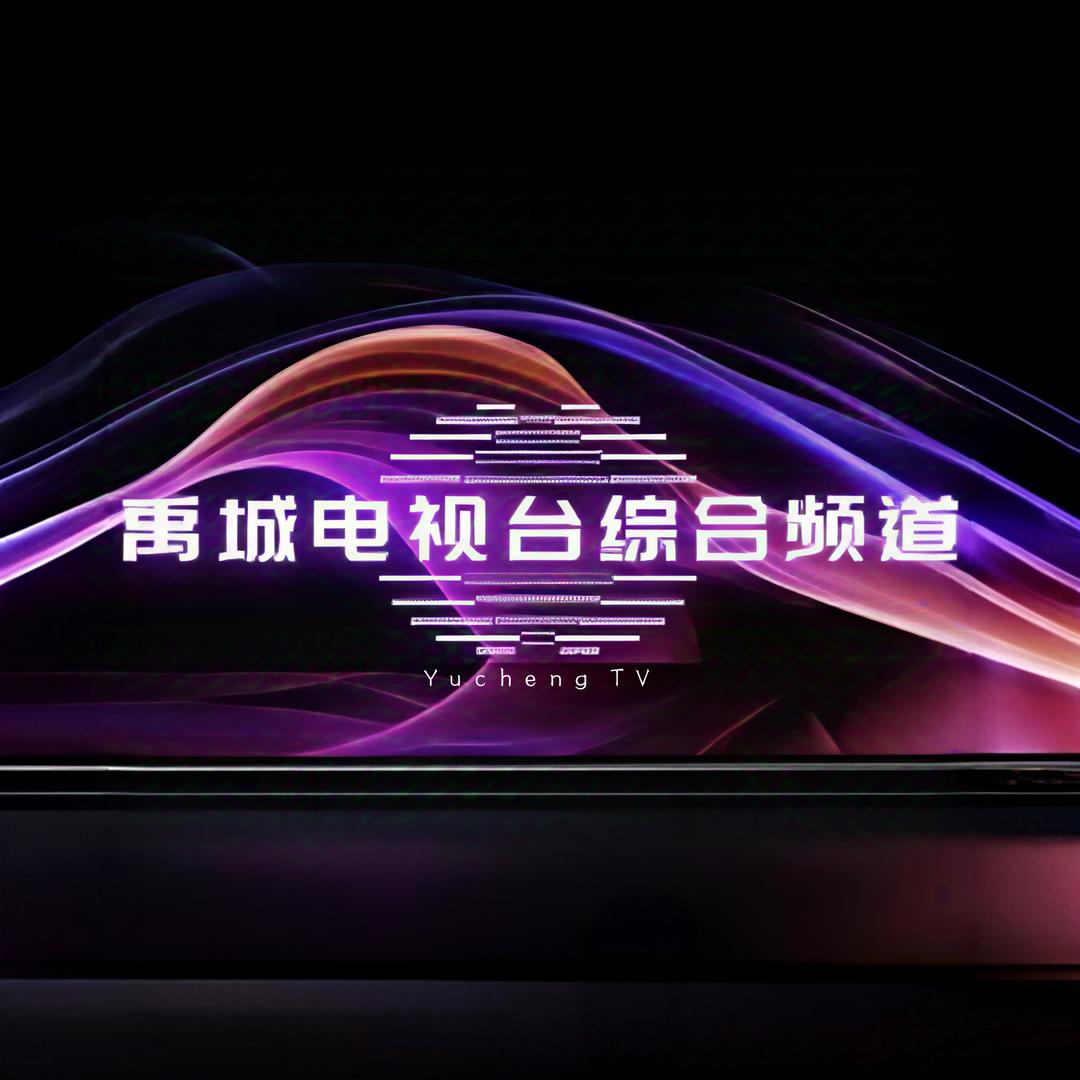 禹城电视台综合频道