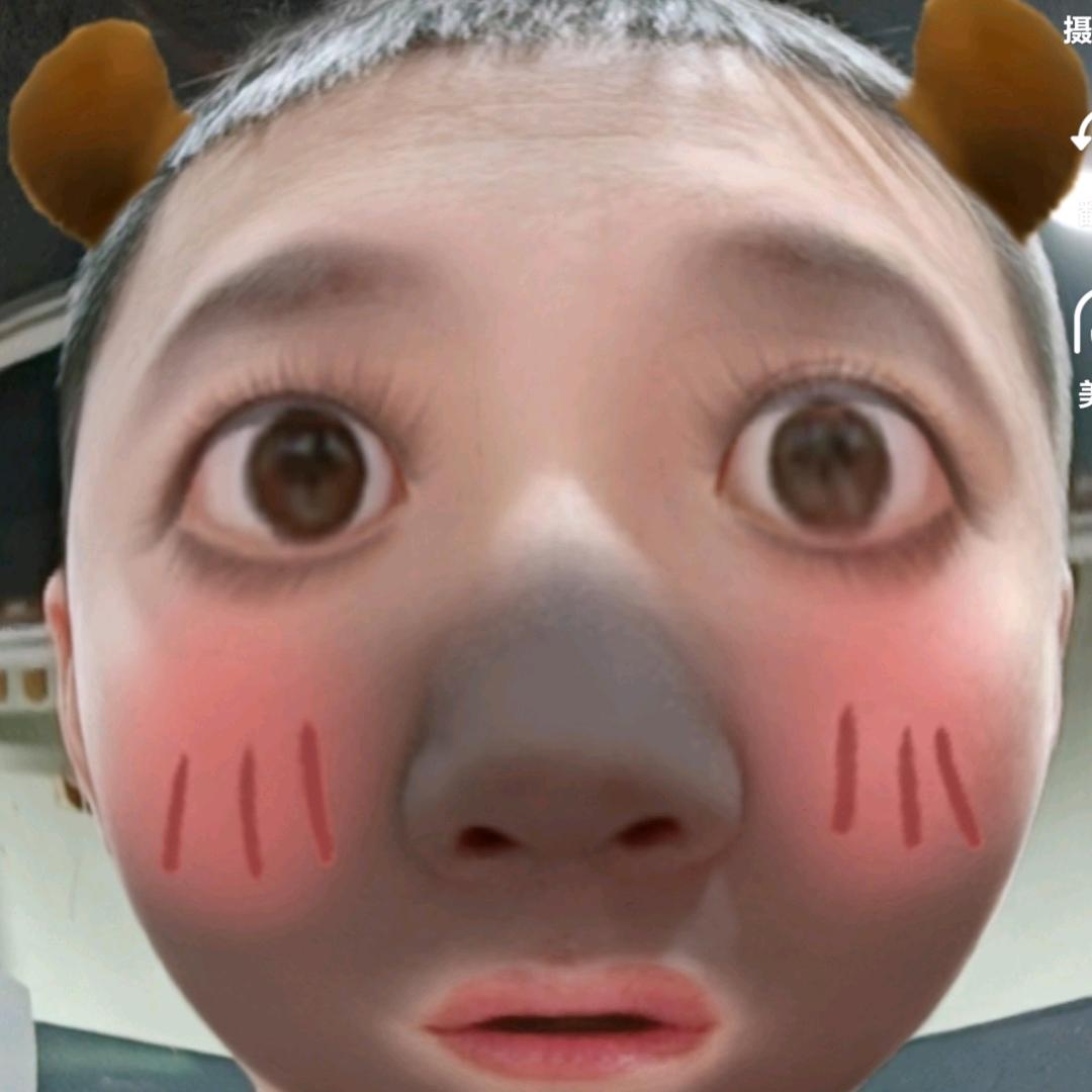 归途如虹