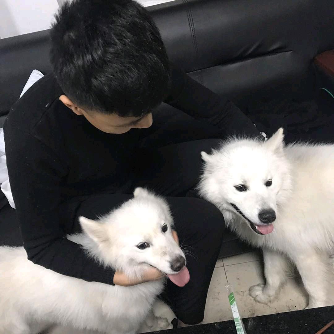 张二宇