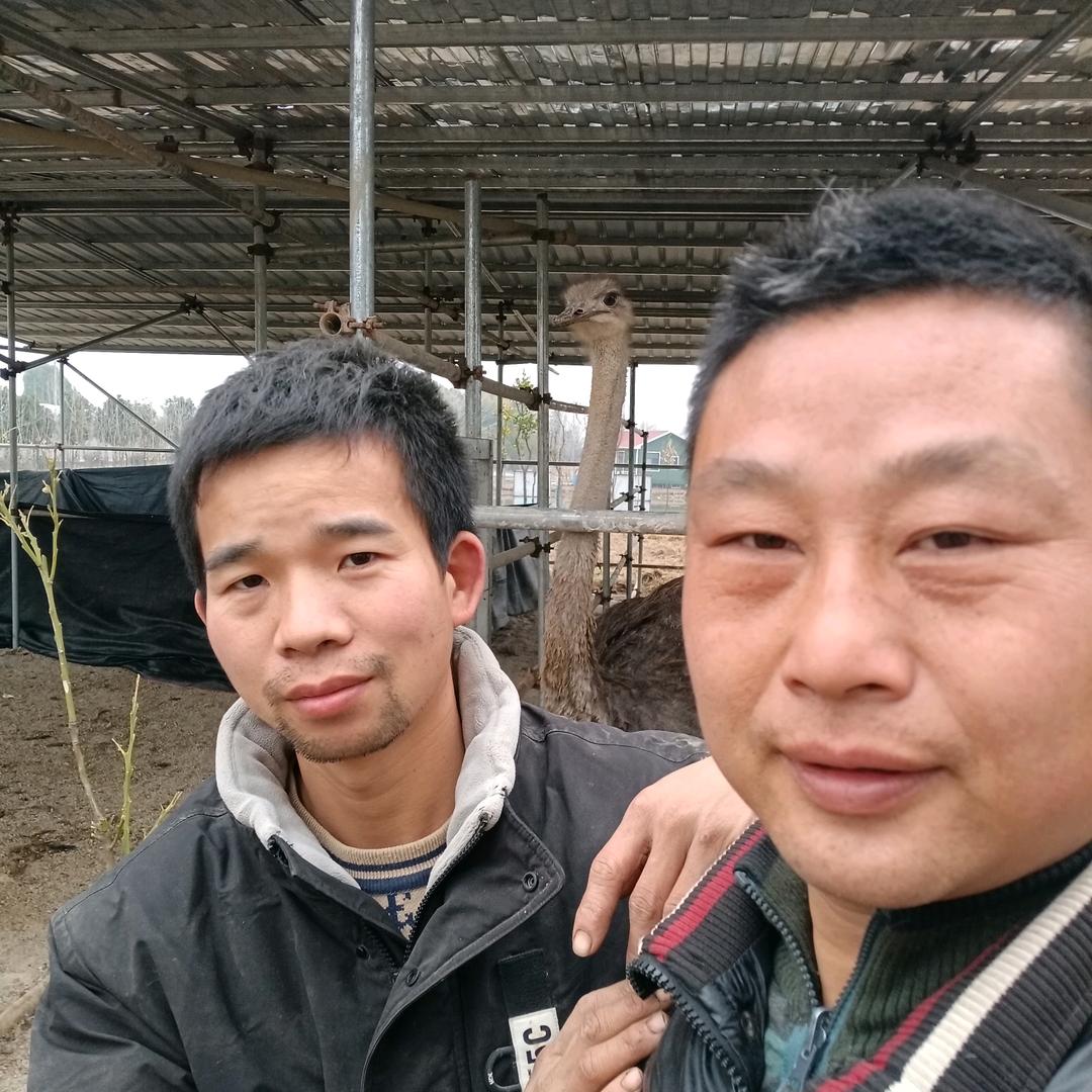 🐜李建伟🍀伟子
