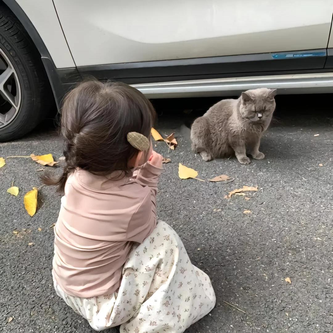 社会可爱都沾一丢丢